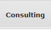 Consulting